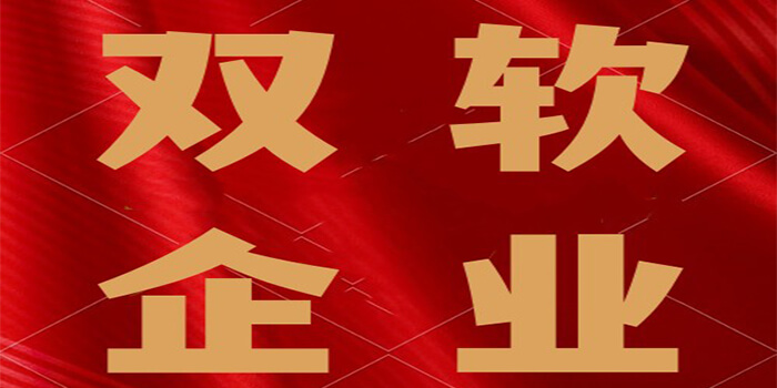 恭賀我司順利通過“雙軟企業(yè)”認定